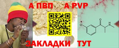 Альфа ПВП Кингисепп