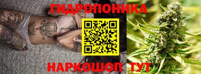 бошки Кимры