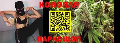 Альфа ПВП Кингисепп