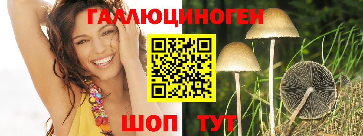 Галлюциногенные грибы мухоморы  где купить наркоту  Вход с VPN  Красногорск  Галлюциногенные грибы GOLDEN TEACHER 