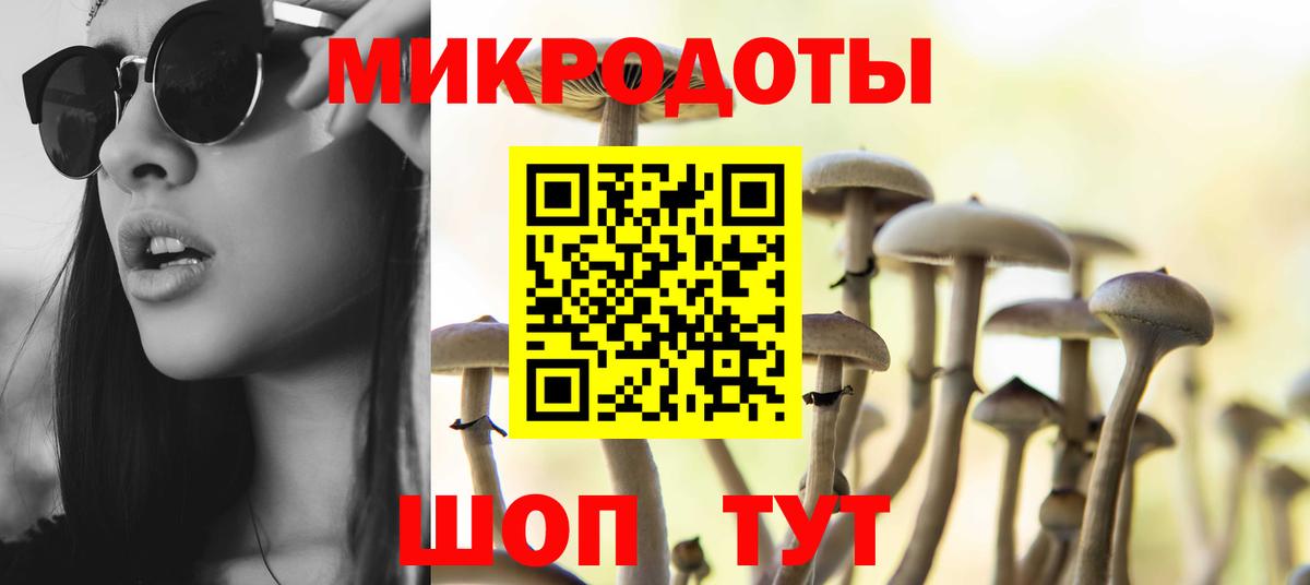 Галлюциногенные грибы Cubensis Красногорск